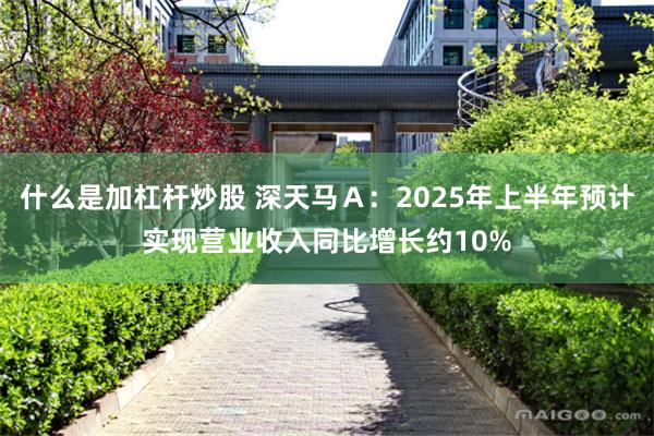 什么是加杠杆炒股 深天马Ａ：2025年上半年预计实现营业收入同比增长约10%