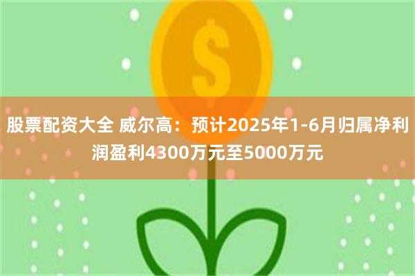 股票配资大全 威尔高：预计2025年1-6月归属净利润盈利4300万元至5000万元