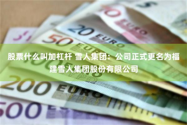 股票什么叫加杠杆 雪人集团：公司正式更名为福建雪人集团股份有限公司
