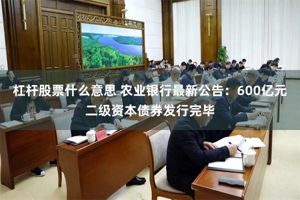 杠杆股票什么意思 农业银行最新公告：600亿元二级资本债券发行完毕