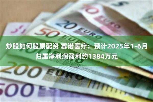 炒股如何股票配资 赛诺医疗：预计2025年1-6月归属净利润盈利约1384万元