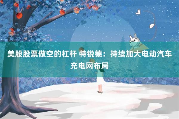 美股股票做空的杠杆 特锐德：持续加大电动汽车充电网布局