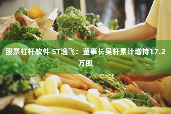 股票杠杆软件 ST逸飞：董事长吴轩累计增持17.2万股