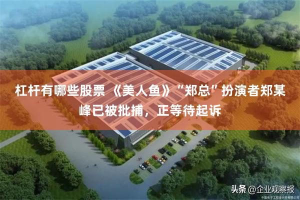 杠杆有哪些股票 《美人鱼》“郑总”扮演者郑某峰已被批捕，正等待起诉