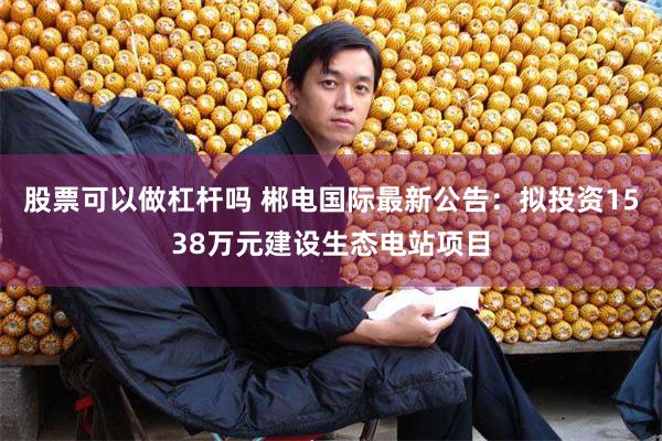股票可以做杠杆吗 郴电国际最新公告：拟投资1538万元建设生态电站项目
