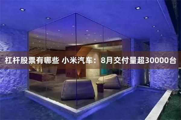 杠杆股票有哪些 小米汽车：8月交付量超30000台