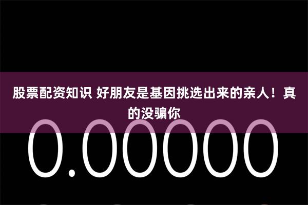 股票配资知识 好朋友是基因挑选出来的亲人！真的没骗你