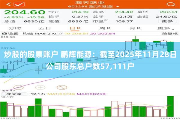 炒股的股票账户 鹏辉能源：截至2025年11月28日公司股东总户数57,111户