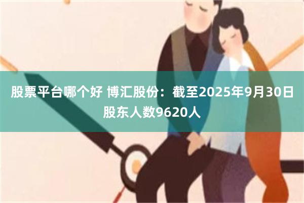 股票平台哪个好 博汇股份：截至2025年9月30日股东人数9620人