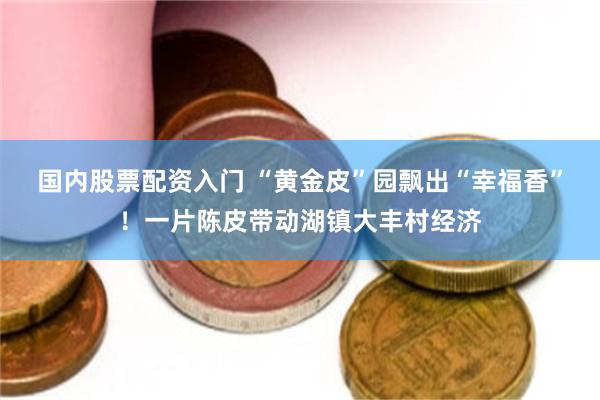 国内股票配资入门 “黄金皮”园飘出“幸福香”！一片陈皮带动湖镇大丰村经济