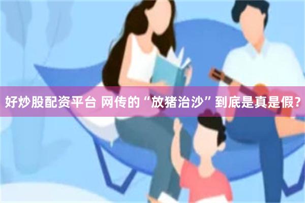 好炒股配资平台 网传的“放猪治沙”到底是真是假？