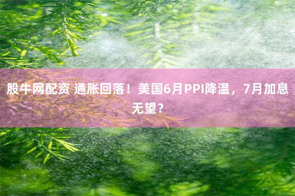 股牛网配资 通胀回落!美国6月PPI降温,7月加息无望?