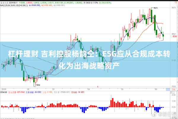 杠杆理财 吉利控股杨韵仝:ESG应从合规成本转化为出海战略资产