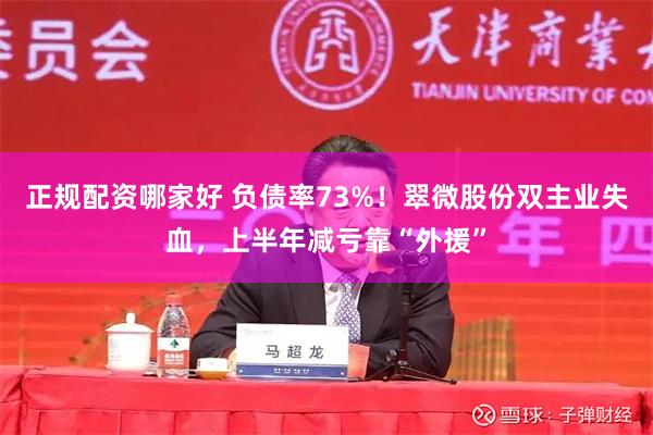 正规配资哪家好 负债率73%!翠微股份双主业失血,上半年减亏靠“外援”