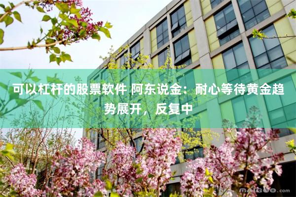 可以杠杆的股票软件 阿东说金：耐心等待黄金趋势展开，反复中