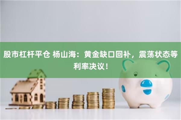 股市杠杆平仓 杨山海：黄金缺口回补，震荡状态等利率决议！