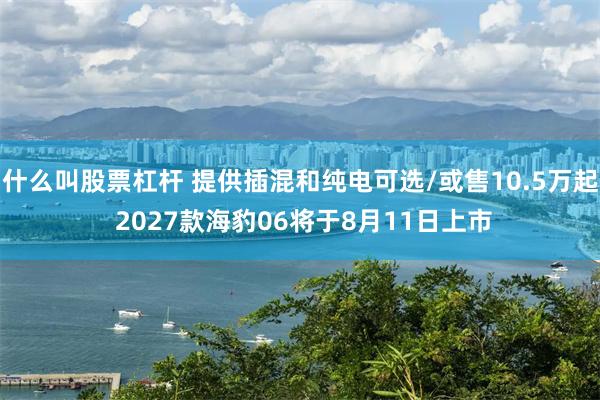 什么叫股票杠杆 提供插混和纯电可选/或售10.5万起 2027款海豹06将于8月11日上市