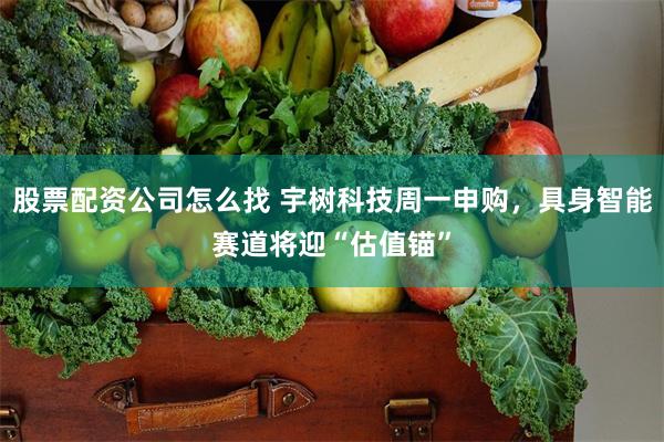 股票配资公司怎么找 宇树科技周一申购，具身智能赛道将迎“估值锚”