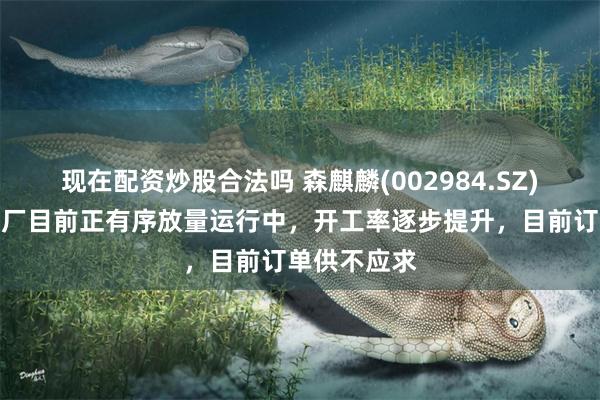 现在配资炒股合法吗 森麒麟(002984.SZ)：摩洛哥工厂目前正有序放量运行中，开工率逐步提升，目前订单供不应求