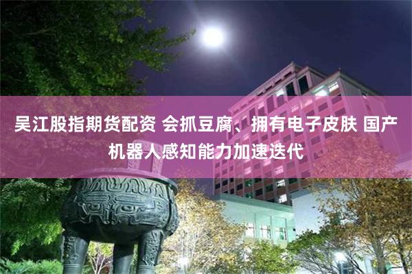 吴江股指期货配资 会抓豆腐、拥有电子皮肤 国产机器人感知能力加速迭代