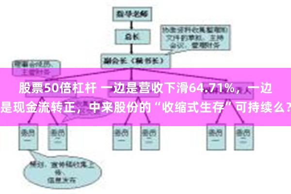 股票50倍杠杆 一边是营收下滑64.71%，一边是现金流转正，中来股份的“收缩式生存”可持续么？
