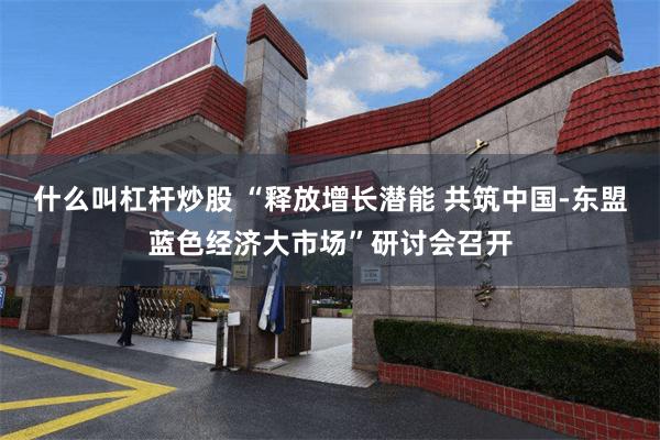 什么叫杠杆炒股 “释放增长潜能 共筑中国-东盟蓝色经济大市场”研讨会召开