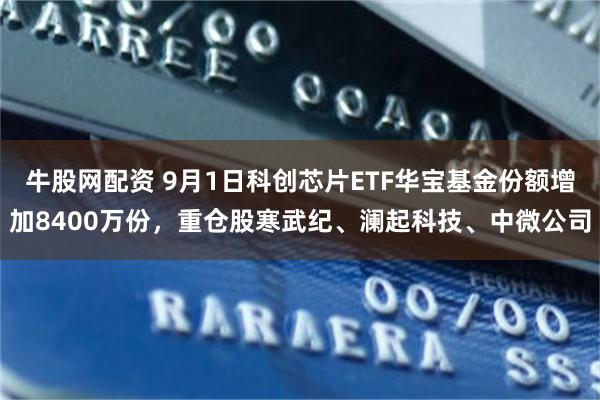 牛股网配资 9月1日科创芯片ETF华宝基金份额增加8400万份，重仓股寒武纪、澜起科技、中微公司