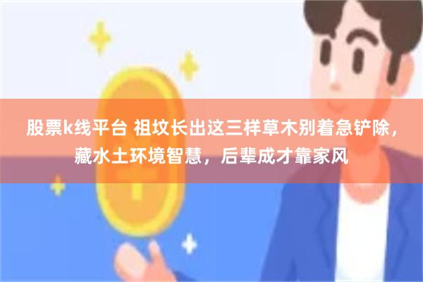 股票k线平台 祖坟长出这三样草木别着急铲除，藏水土环境智慧，后辈成才靠家风
