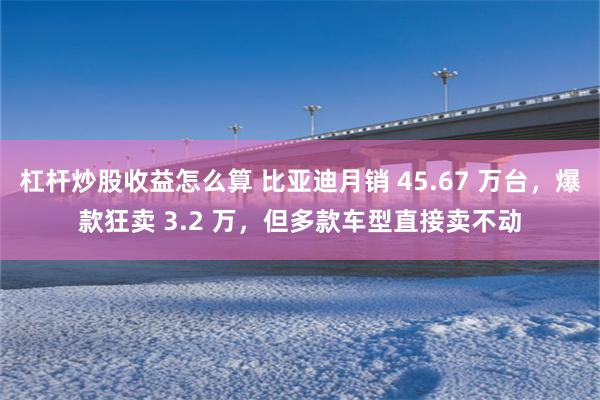 杠杆炒股收益怎么算 比亚迪月销 45.67 万台，爆款狂卖 3.2 万，但多款车型直接卖不动