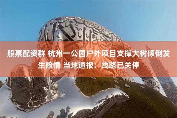 股票配资群 杭州一公园户外项目支撑大树倾倒发生险情 当地通报：线路已关停