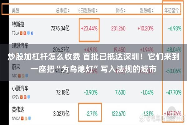 炒股加杠杆怎么收费 首批已抵达深圳！它们来到一座把“为鸟熄灯”写入法规的城市